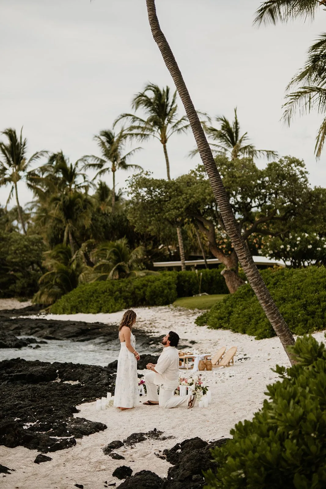 A beach proposal beneath palms as one partner kneels among flowers and black lava rock